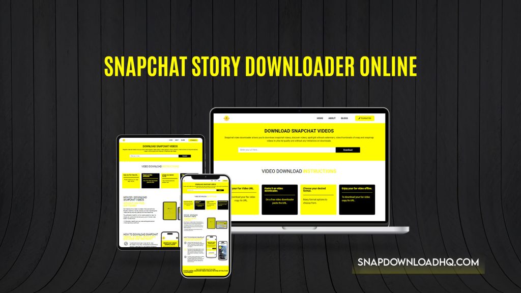Snapchat Story Downloader Online